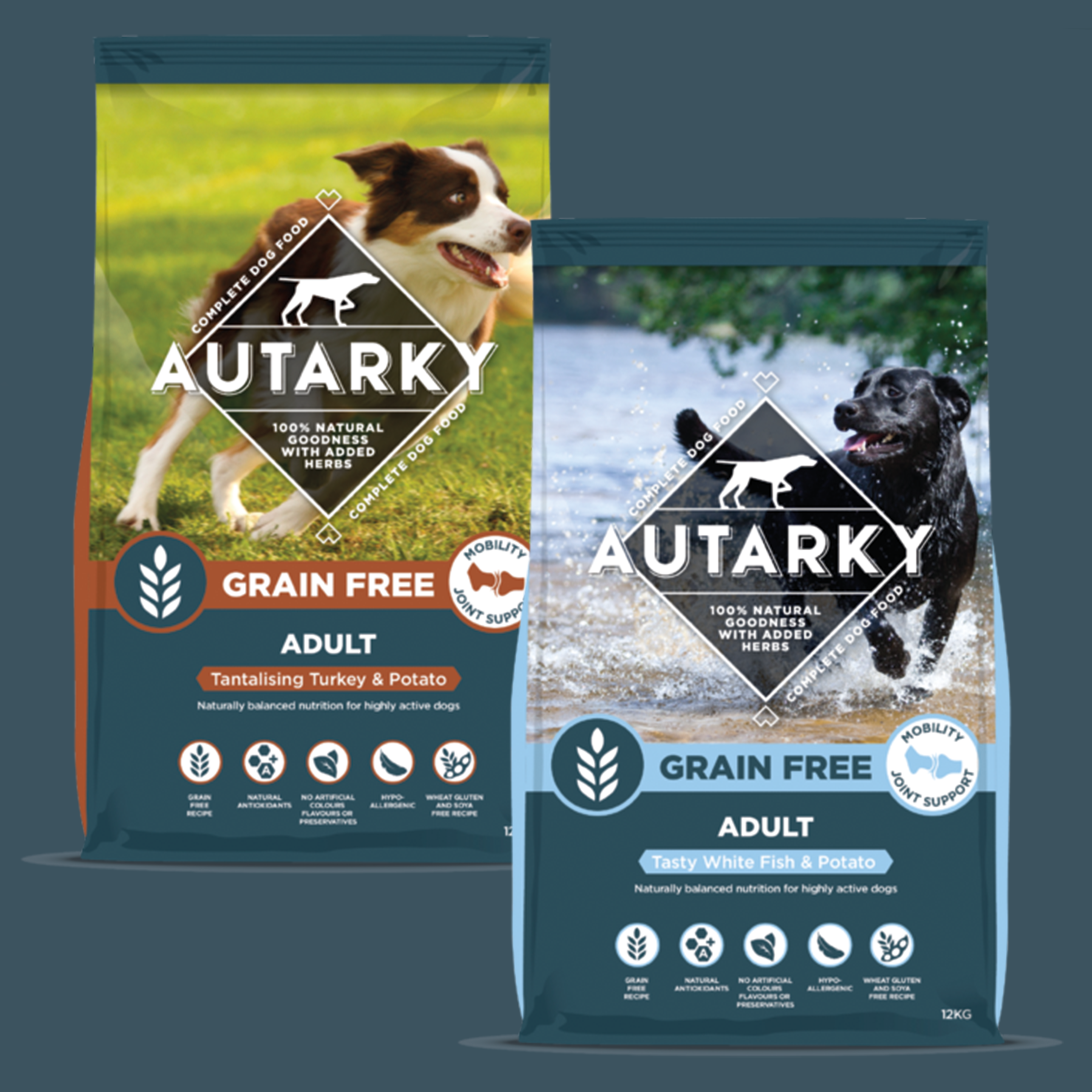 All natural food for 2024 dogs